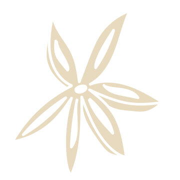Vanila seed flat icon