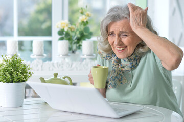 Portrait of beautiful senior woman sitting at table with laptop