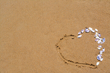 Fototapeta na wymiar Heart made with beautiful sea shells on wet sand. Space for text