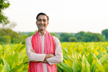 Naklejka na ściany i meble Happy Indian farmer at green turmeric agriculture field.