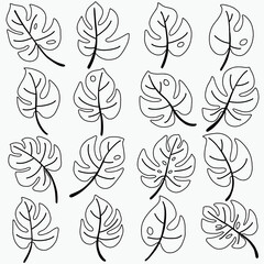 Flora monstera leaf freehand drawing decorative ornament.