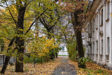 Autumn in a provincial town. Low houses flying around the trees, yellow leaves on the ground.