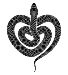 Vector tattoo design of snake coiled in a spiral in the form of a heart symbol. Isolated black serpent silhouette.