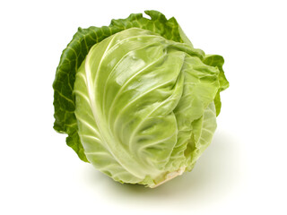 cabbage on a white background