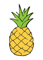 pineapple illustration drawing vector