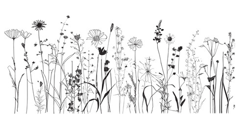 Wildflowers herb hand drawn sketch.Doodle style.Vector illustration