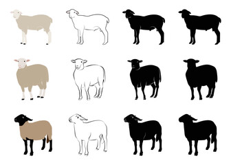 Sheep standing. Line art and solid vector illustration of sheep, hand drawn sheep.