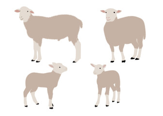 sheep pattern, vector illustration of cute sheeps. Sheep standing. vector illustration of engraving sheep hands drawing.