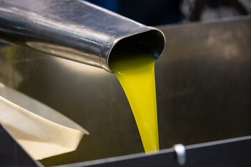 Fresh extra virgin olive oil pouring into tank at a cold-press factory after the olive season...