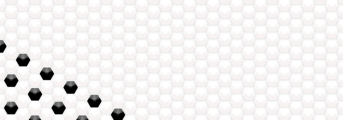 Embossed black and white hexagon frame on White backgrounds. Abstract tortoiseshell. Abstract honeycomb. Abstract crystal. Abstract pattern football with space