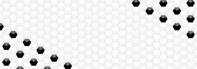 Embossed black and white hexagon frame on White backgrounds. Abstract tortoiseshell. Abstract honeycomb. Abstract crystal. Abstract pattern football with space