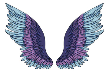 Beautiful magic tender violet blue wings, vector illustration