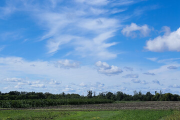 Beautiful view on blue sky with white clouds above green field