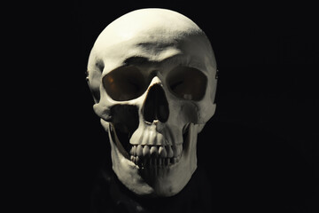 White human skull with teeth on black background