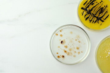 Petri dishes with different bacteria colonies on white marble table, flat lay. Space for text