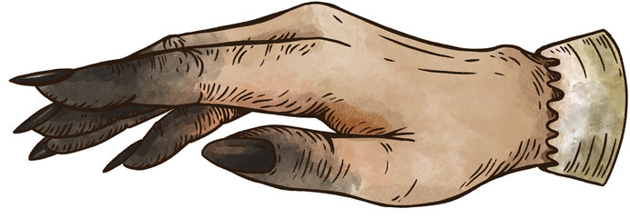 Witch Hand Transparent PNG illustration