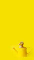 one small yellow duckling in metal watering can on yellow background, selective focus, vertical, 16:9