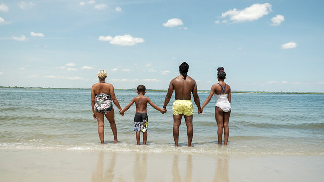 USA, Rear view of family holding hands on beach