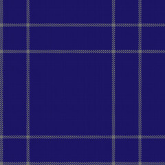 Blue Minimal Plaid textured Seamless Pattern