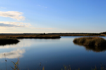 Blue sky reflecting in the calm lake with reed thickets