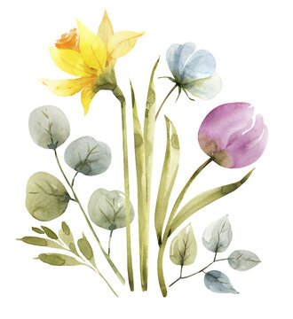 bouquet of spring colorful flowers and plants, watercolor illustration.