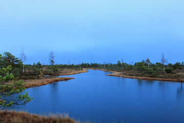 Beautiful cloudy sky above a lake on a marsh with pines around. Selective focus