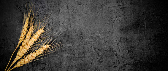 Wheat spike on the black background