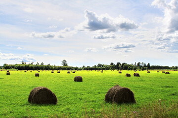 Green field with hay bales on a sunny and cloudy day. Selective focus