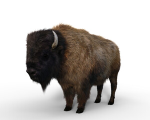 American Bison standing still. 3D illustration isolated on transparent background. © IG Digital Arts