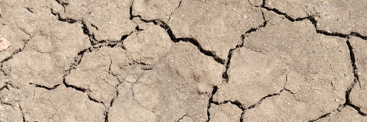 Dry cracked soil. Cracked and torn brown earth