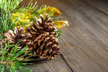 Pine cone and green branch on wooden table with snow, copy space for text.Pine cones on wooden background.
