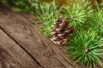 Pine cone and green branch on wooden table with snow, copy space for text.Pine cones on wooden background.