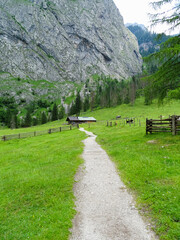 Hiking path which leads to a wooden shelter house in the the foothill of a mountain in the Berchtesgaden national park area, Germany, bavaria 