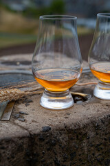 Tasting of single malt scotch whisky in glasses with view from Calton hill to new and old parts of Edinburgh city in rainy day, Scotland, UK
