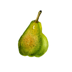 Collection of hand drawn watercolor yellow pears isolated on white background