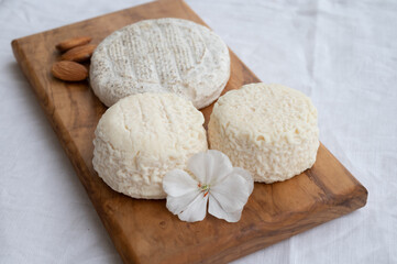 Fototapeta na wymiar Taste of France, small round cheese Tome de Provence and matured small goat cheeses, Alpes-de-Haute-Provence, France