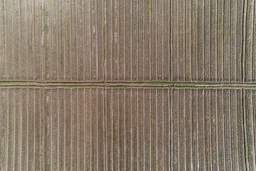 aerial view; Rows of soil before planting furrows form rows in the plowed zone prepared for...