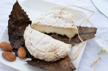 French mountains cheese banon wrapped in chestnut leaves made in Provence from unpasteurised goat milk