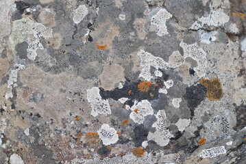 stone wall background - Granite stones in the sea