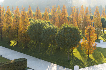 Aerial view of the autumn trees in the city park. Autumn foliage colors. Fall in the city. Tree area just at sunset.