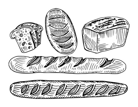 Fresh baked bread set. French baguette, loaf buns, bun with paper package. Top view. Hand drawn sketch style illustrations for bakery shop and package.