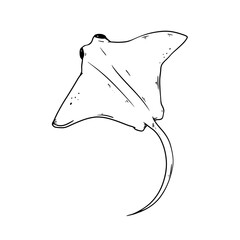 Stingray Png Format With Transparent Background
