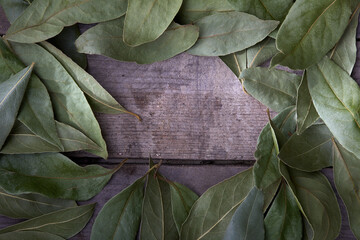 Bay leaves on rustic wood with copy space