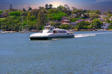 Fototapeta na wymiar River Cat Ferry on Sydney Harbour Parramatta River NSW Australia. Residential apartments and houses along the river foreshore 