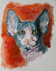 Watercolor drawing of a sphynx cat with multicolored eyes on a red background.