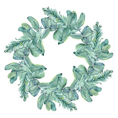 Watercolor winter simple wreath. 
Hand drawn conifer and eucalyptus branches. Illustration isolated on transparent.