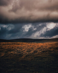 Dartmoor