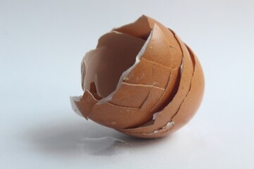 chicken egg shell on a white background