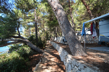 pineta sul mare di martiscica località balneare isola di cres