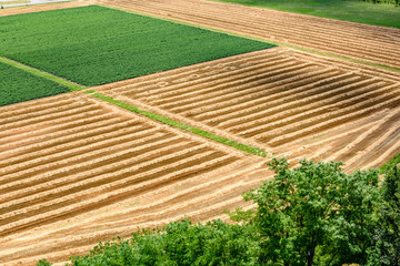 Campi arati per agricoltura